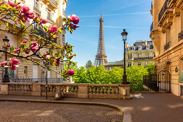 Imagem da viagem Viagem Paris